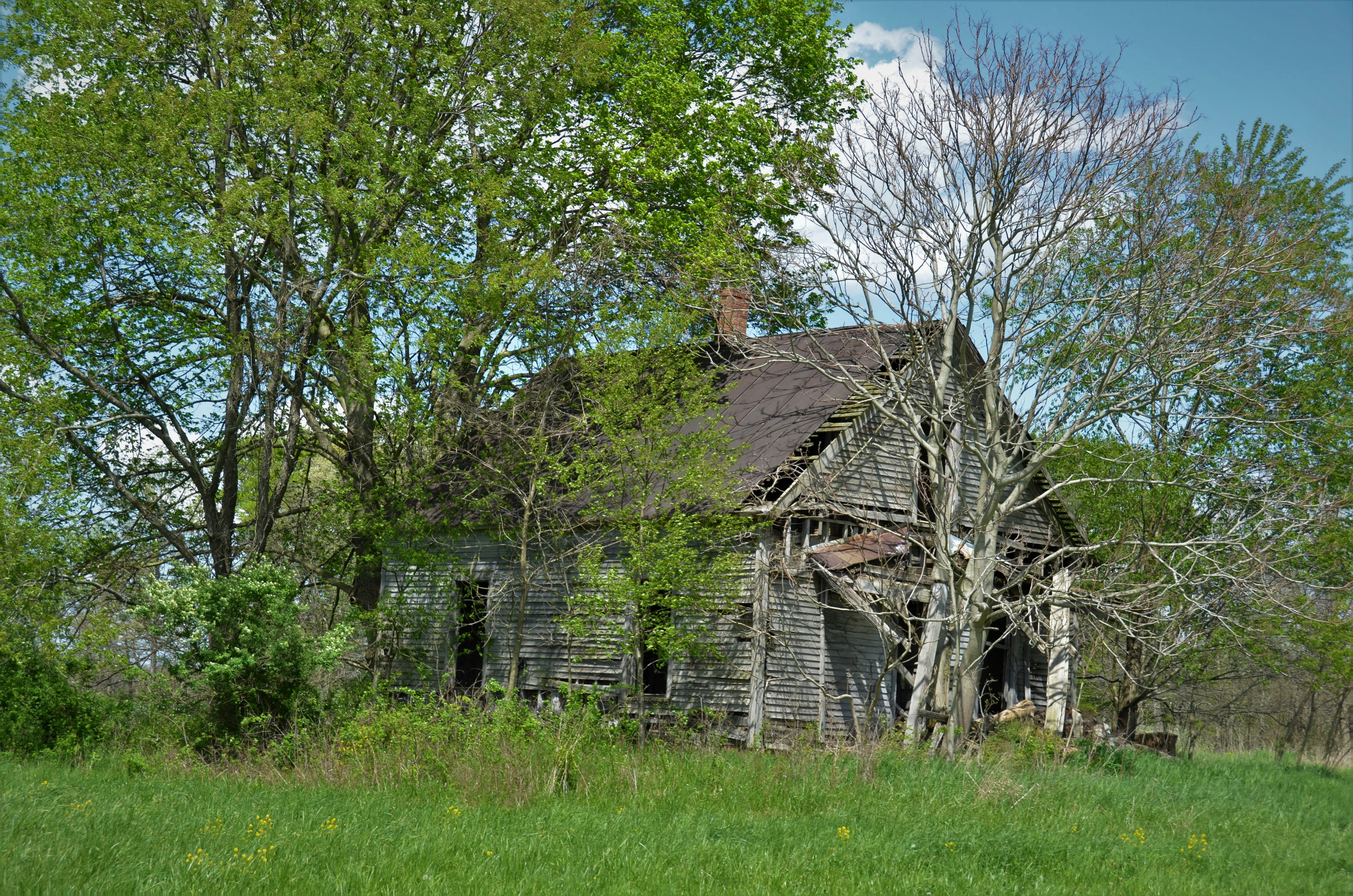 11 Farmhouse-Style Spring Lakehouse Tablescape Tips