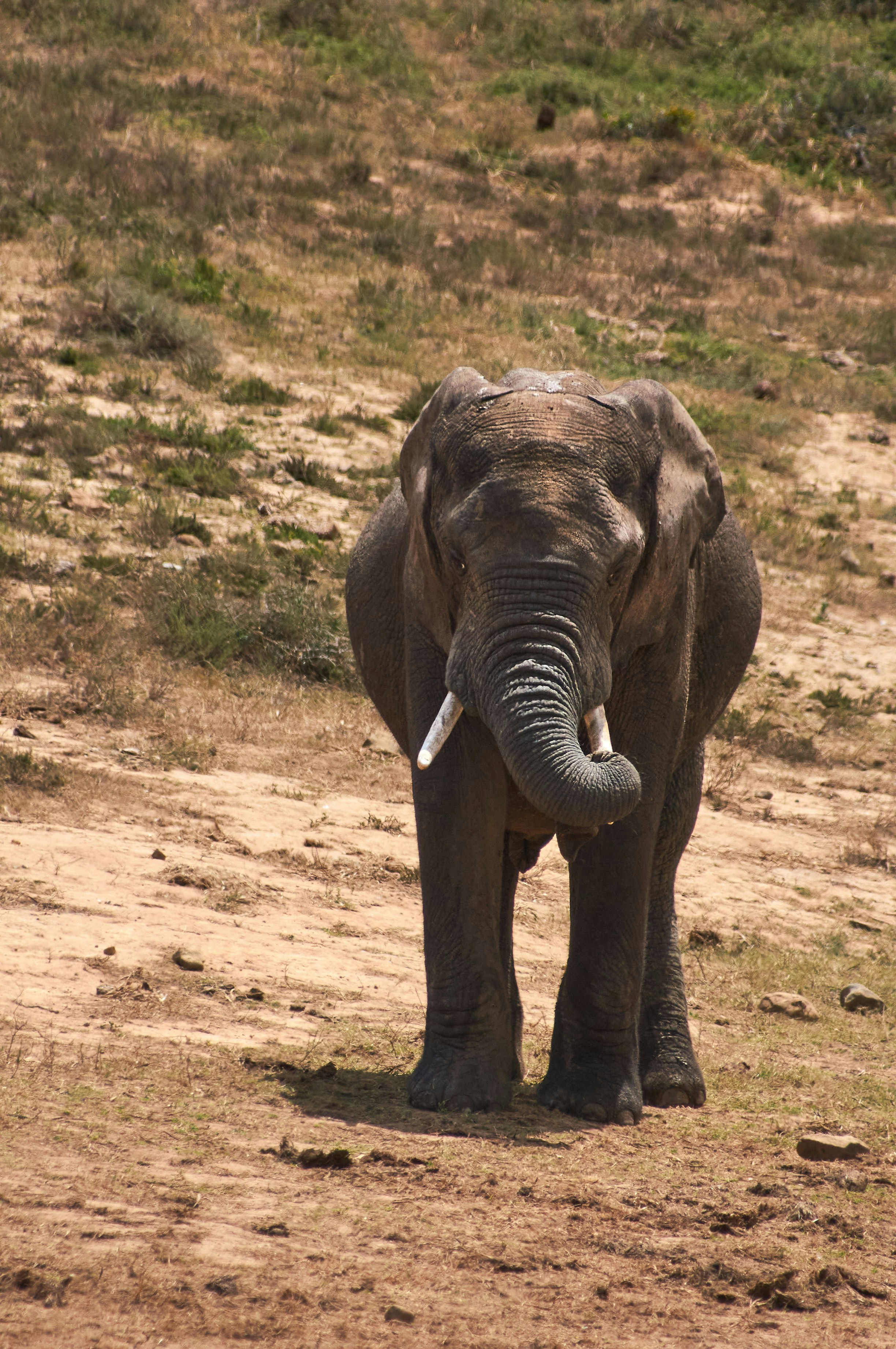 Photo by wolfgang_hasselmann