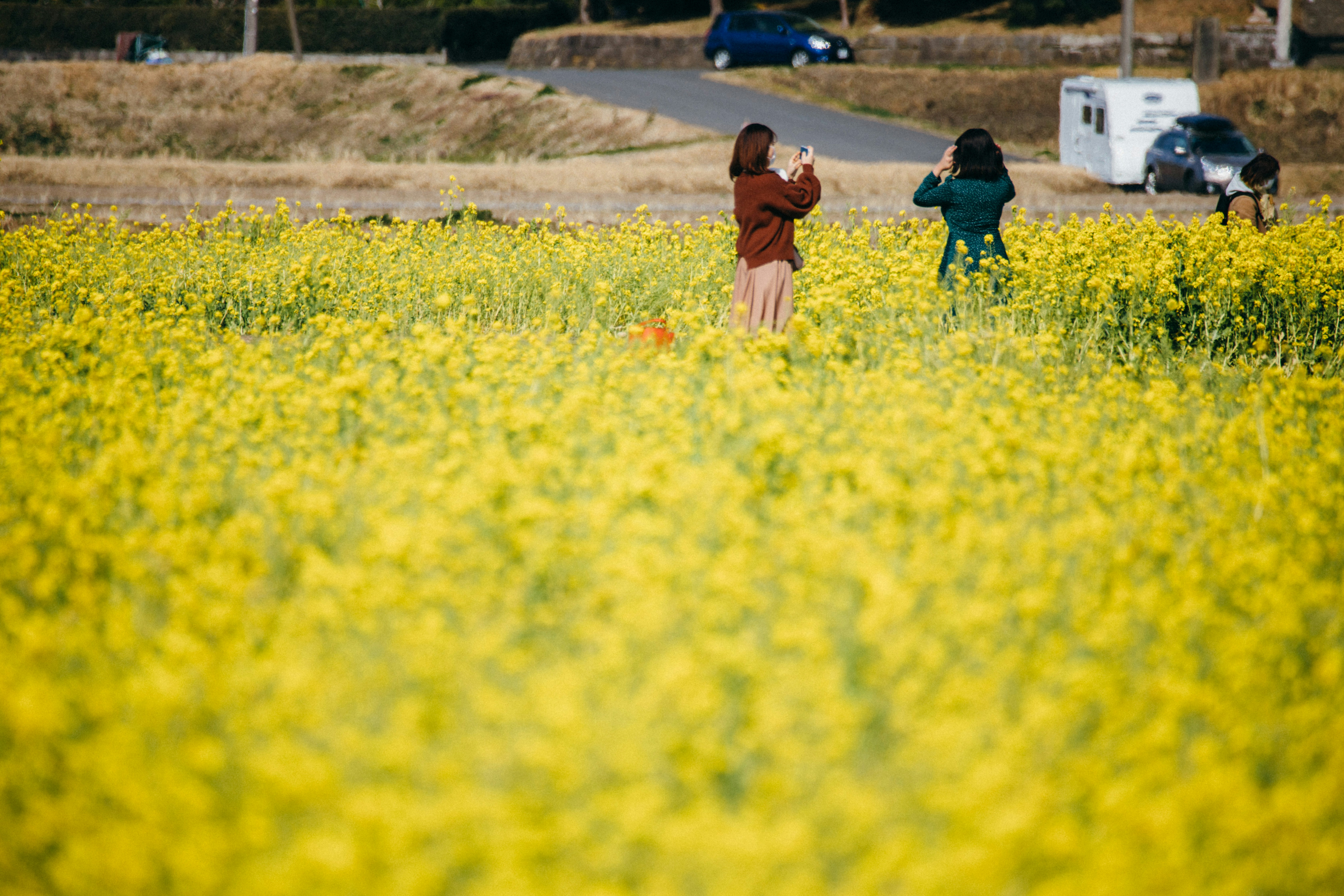 Photo by tsuyoshikozu