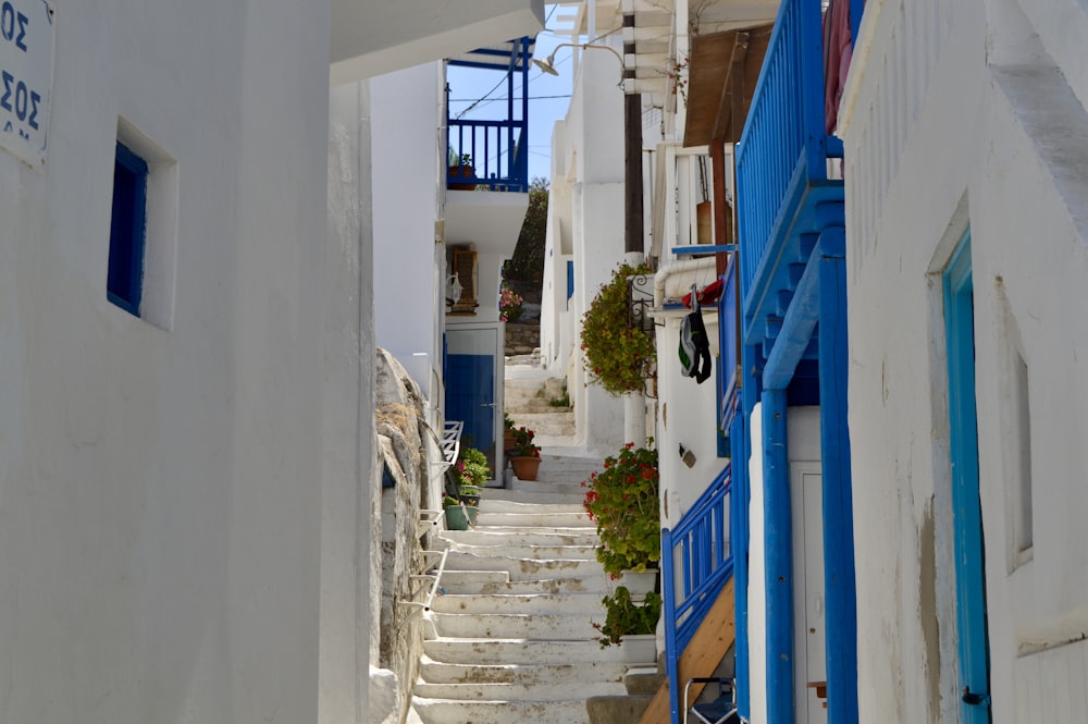 blue and white concrete building