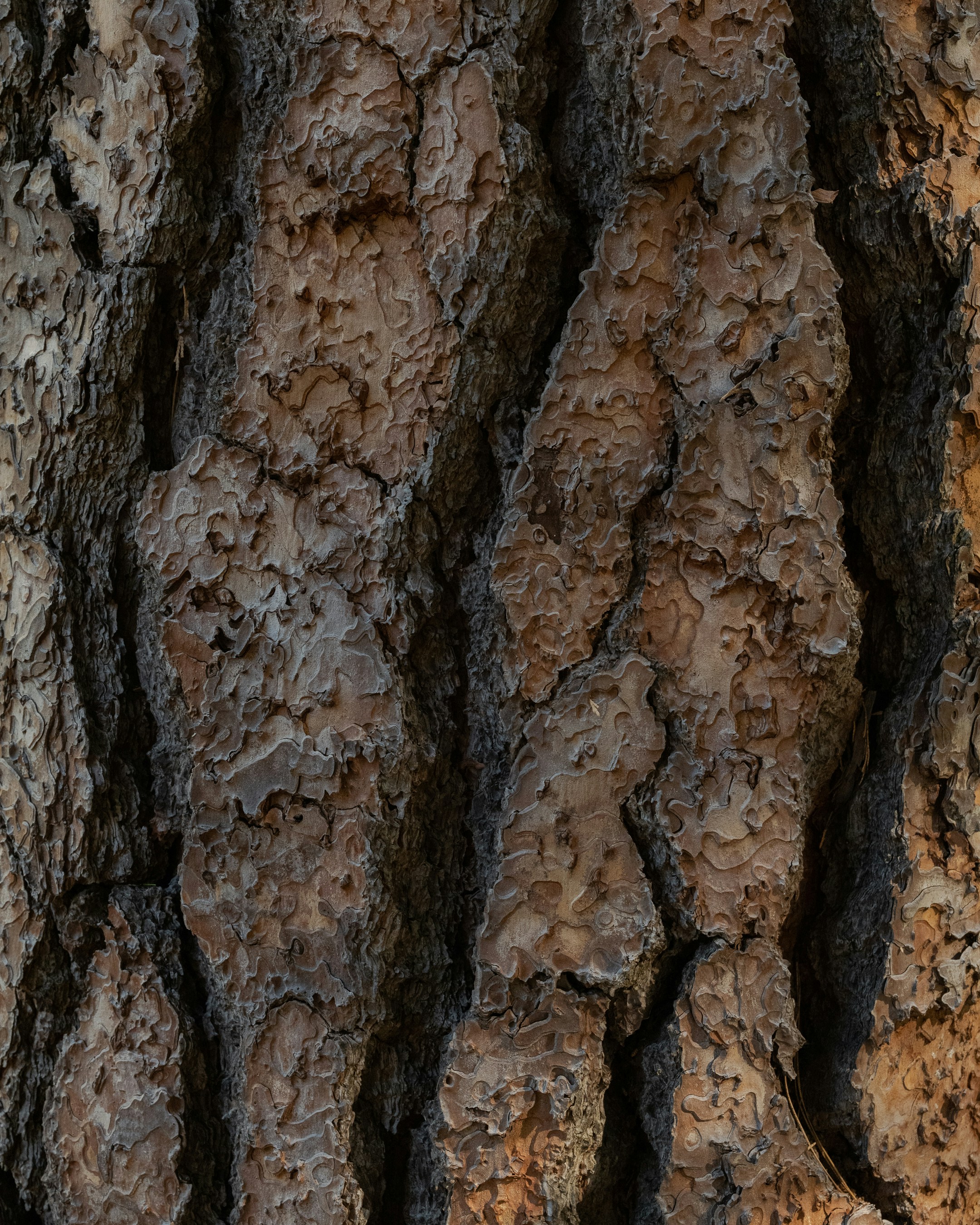 Photo by lazrodriguez__