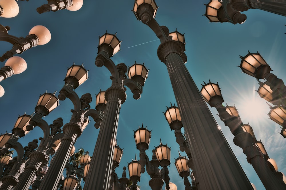 low angle photography of flock of birds flying under blue sky during daytime