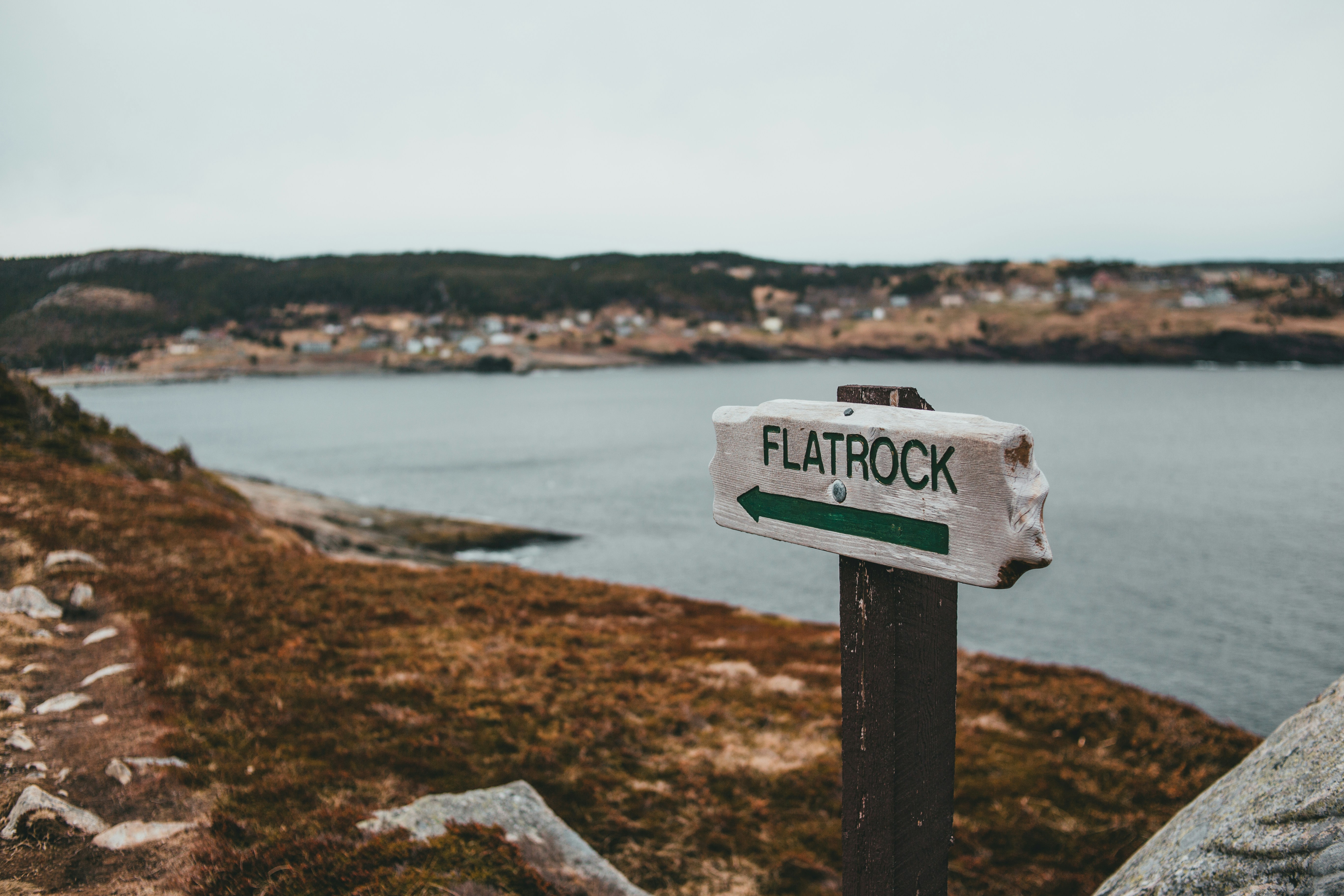 Flowchart illustrating the process of building local backlinks and citations