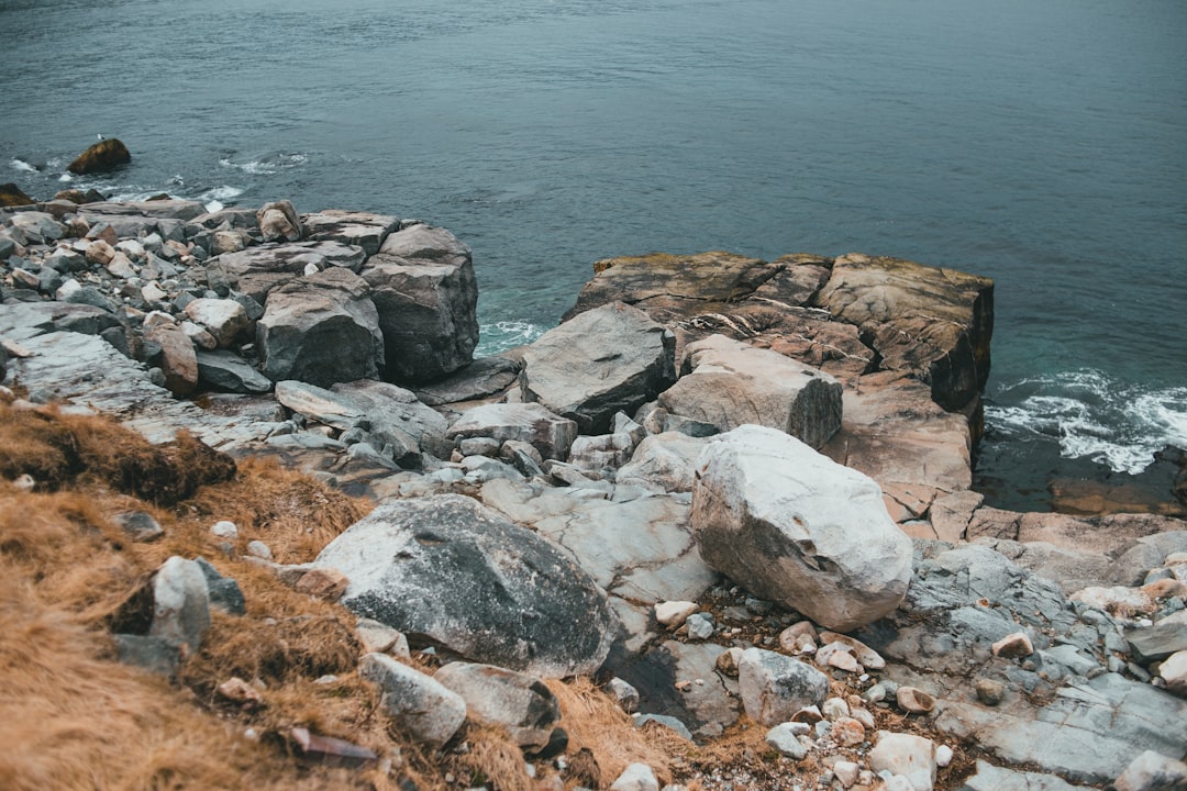 white and brown rocky shore during daytime