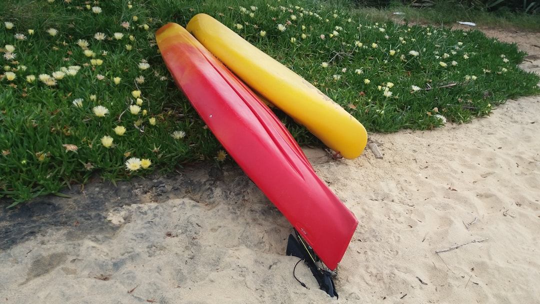 yellow and red banana fruit on ground