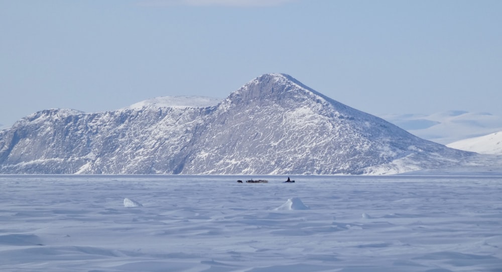 person in black shirt standing on snow covered ground near snow covered mountain during daytime