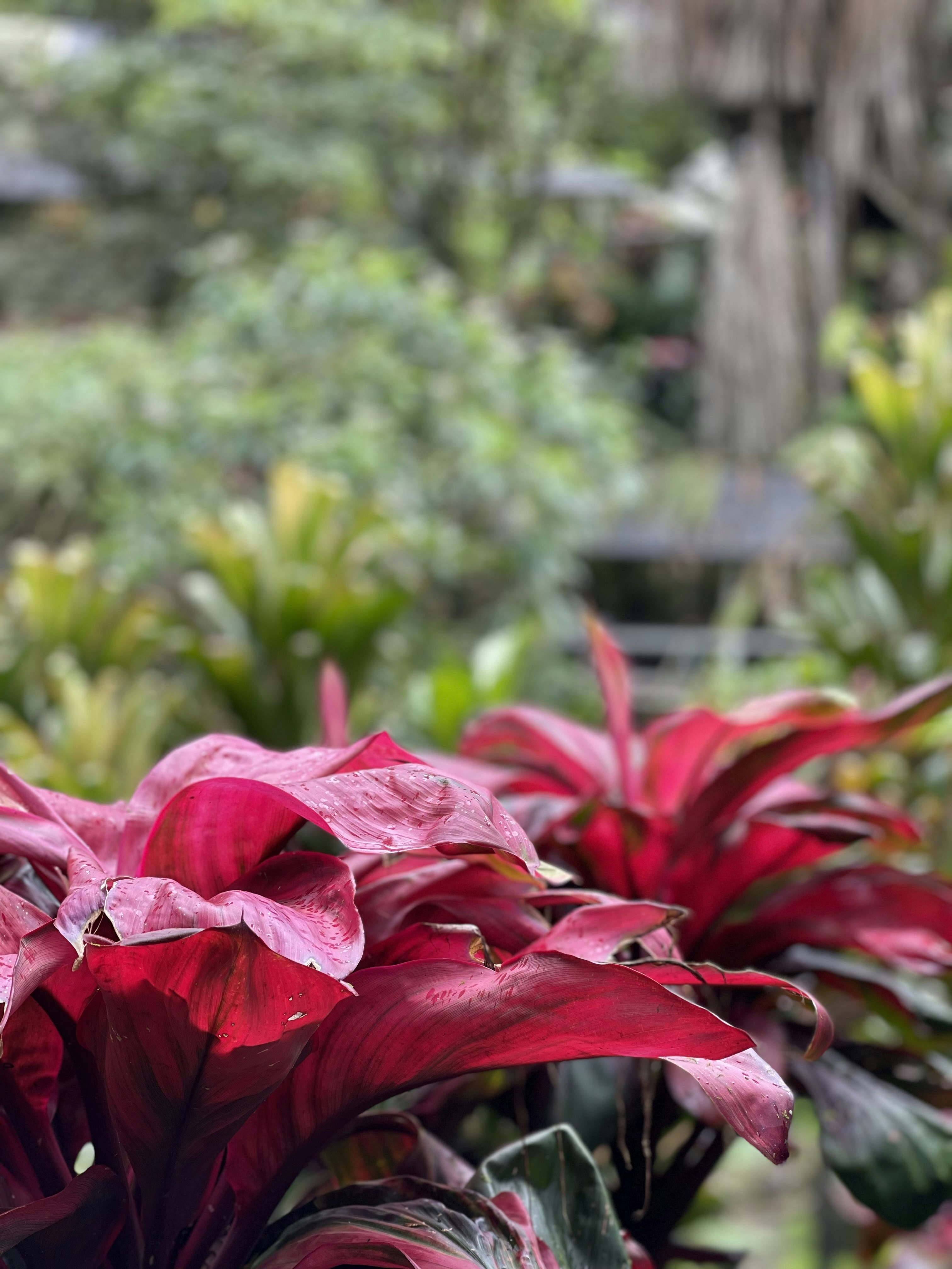 Photo by shifterlabs