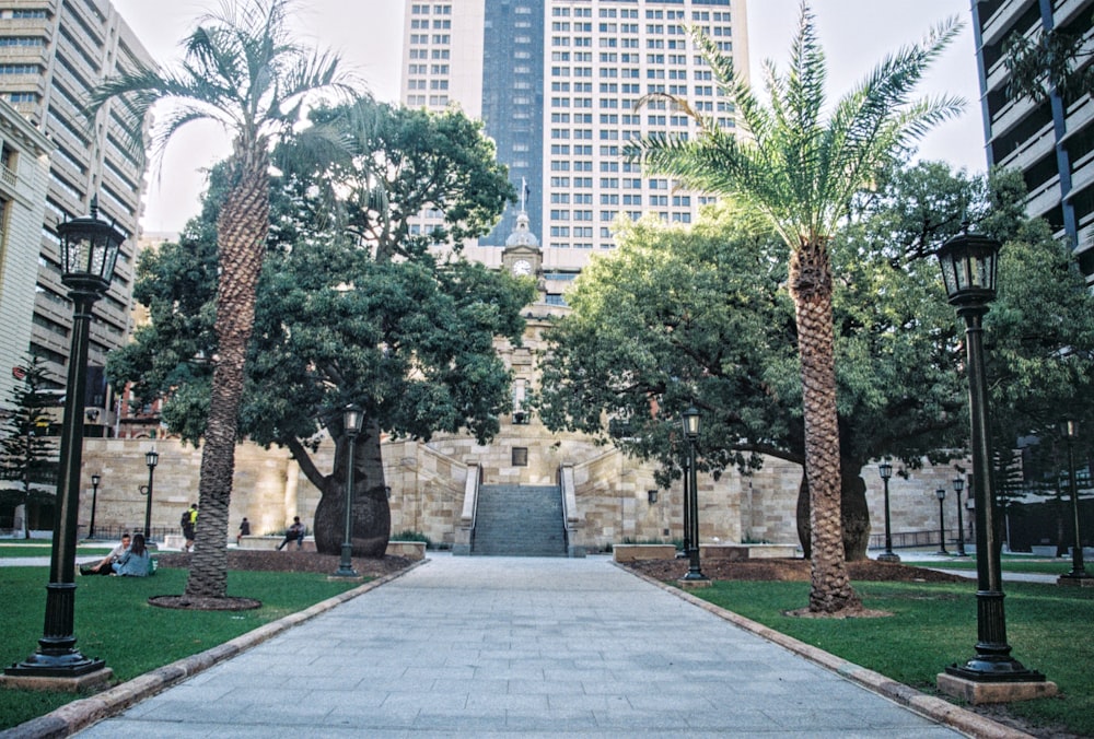 green trees near gray concrete pathway