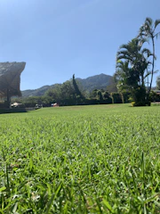 A lush artificial lawn installed on a sunny balcony overlooking Cape Town.