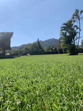 A lush artificial lawn installed on a sunny balcony overlooking Cape Town.