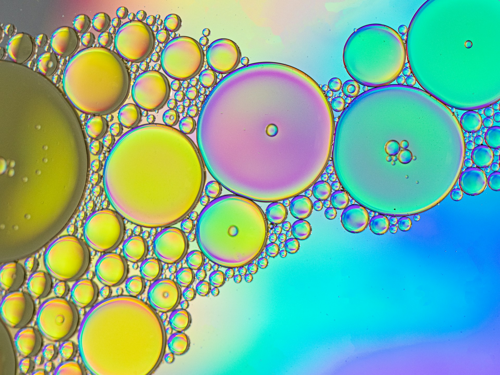 blue and purple round illustration