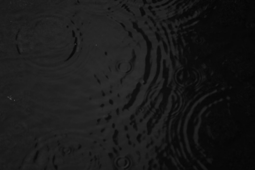 water droplets on body of water