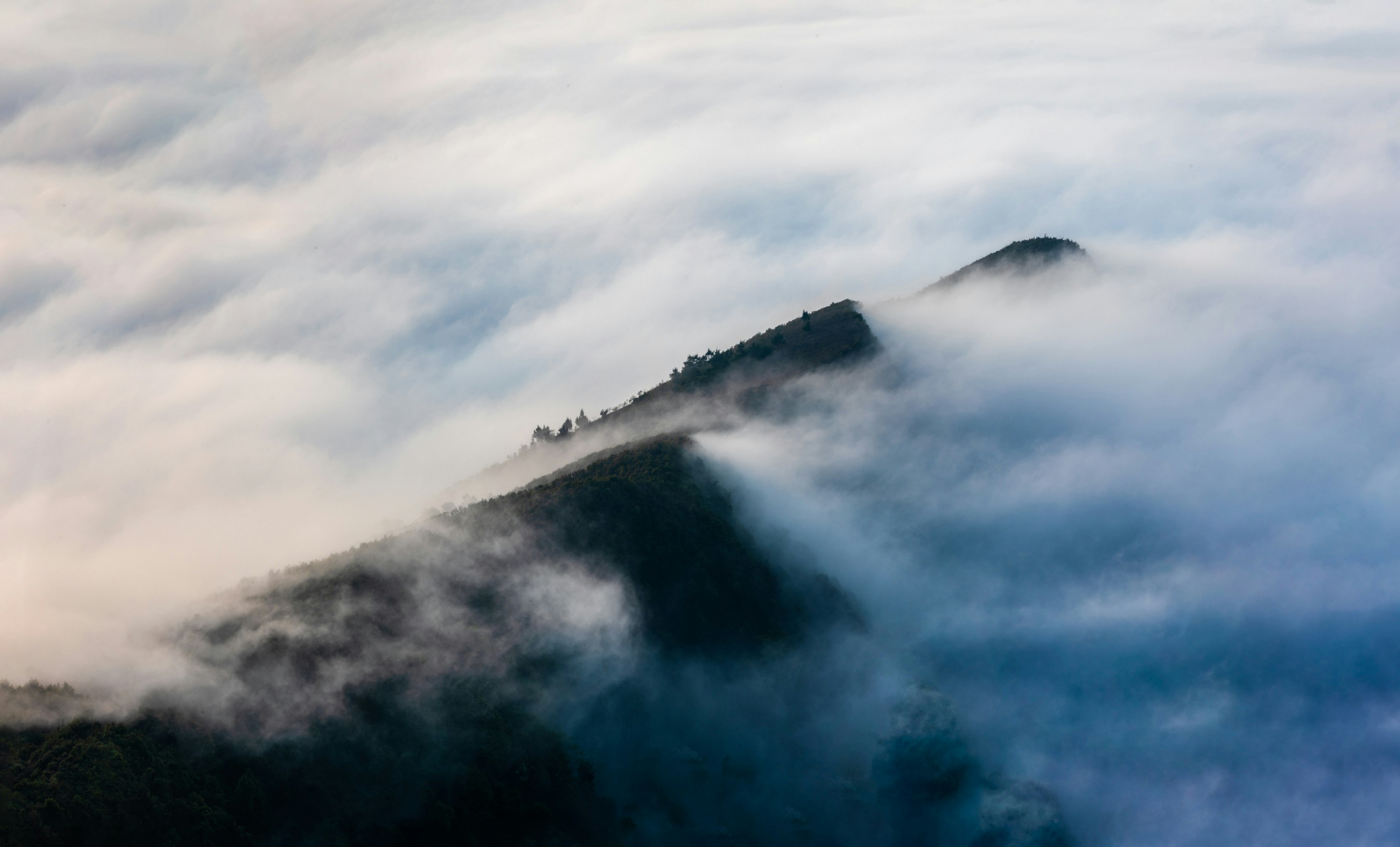 Photo by tanthanglongvn