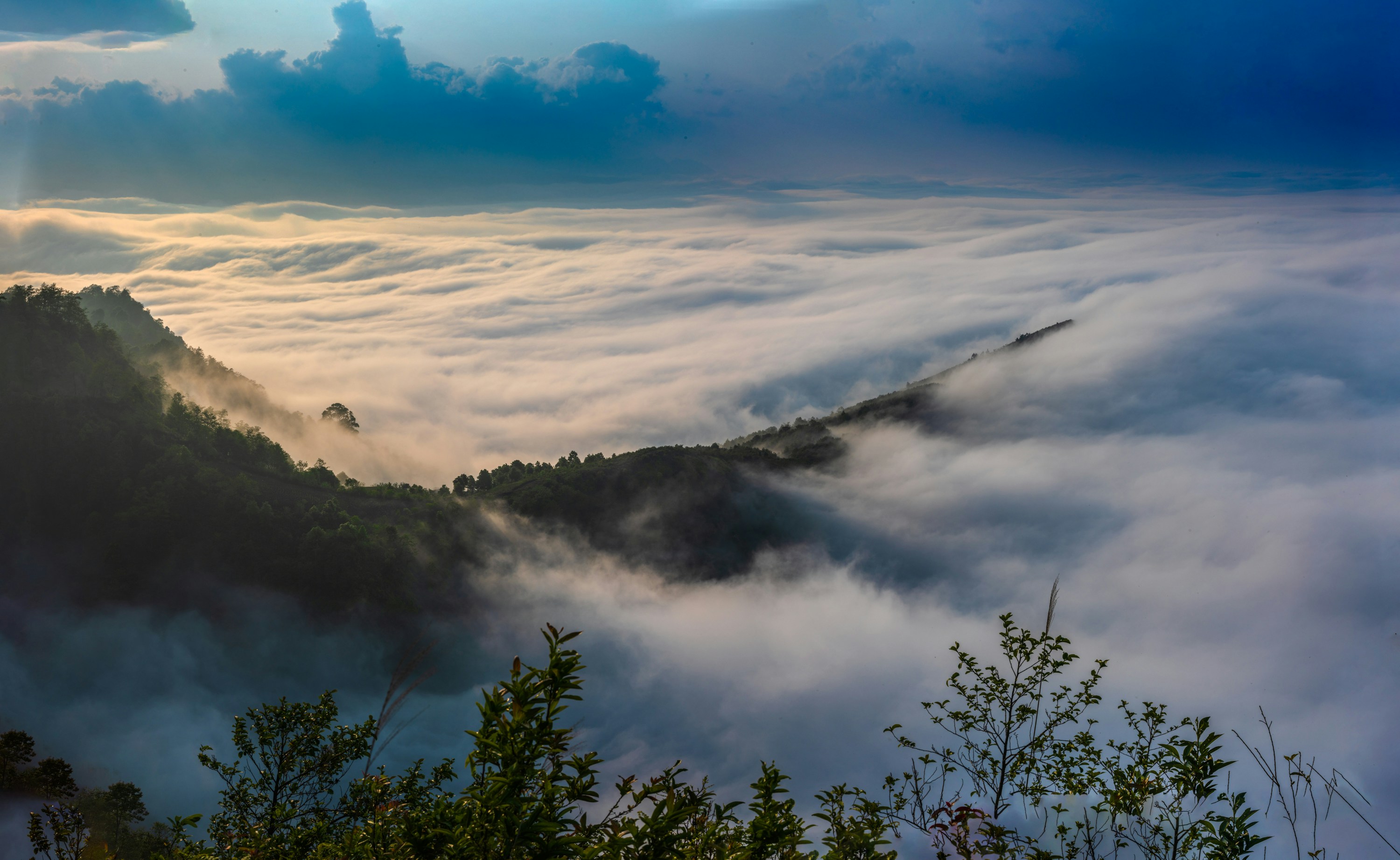 Photo by tanthanglongvn