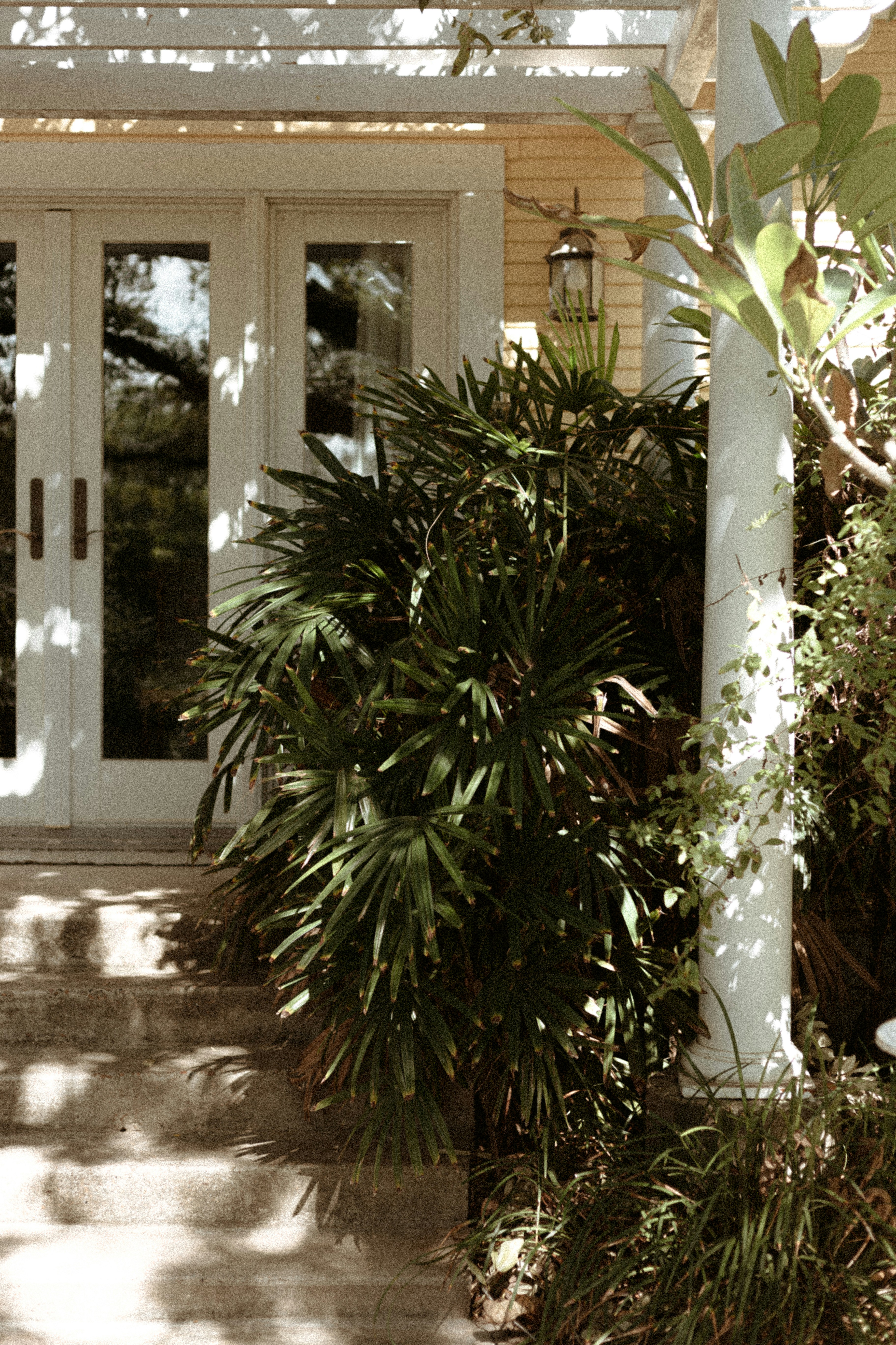 Photo by benignohoyuela