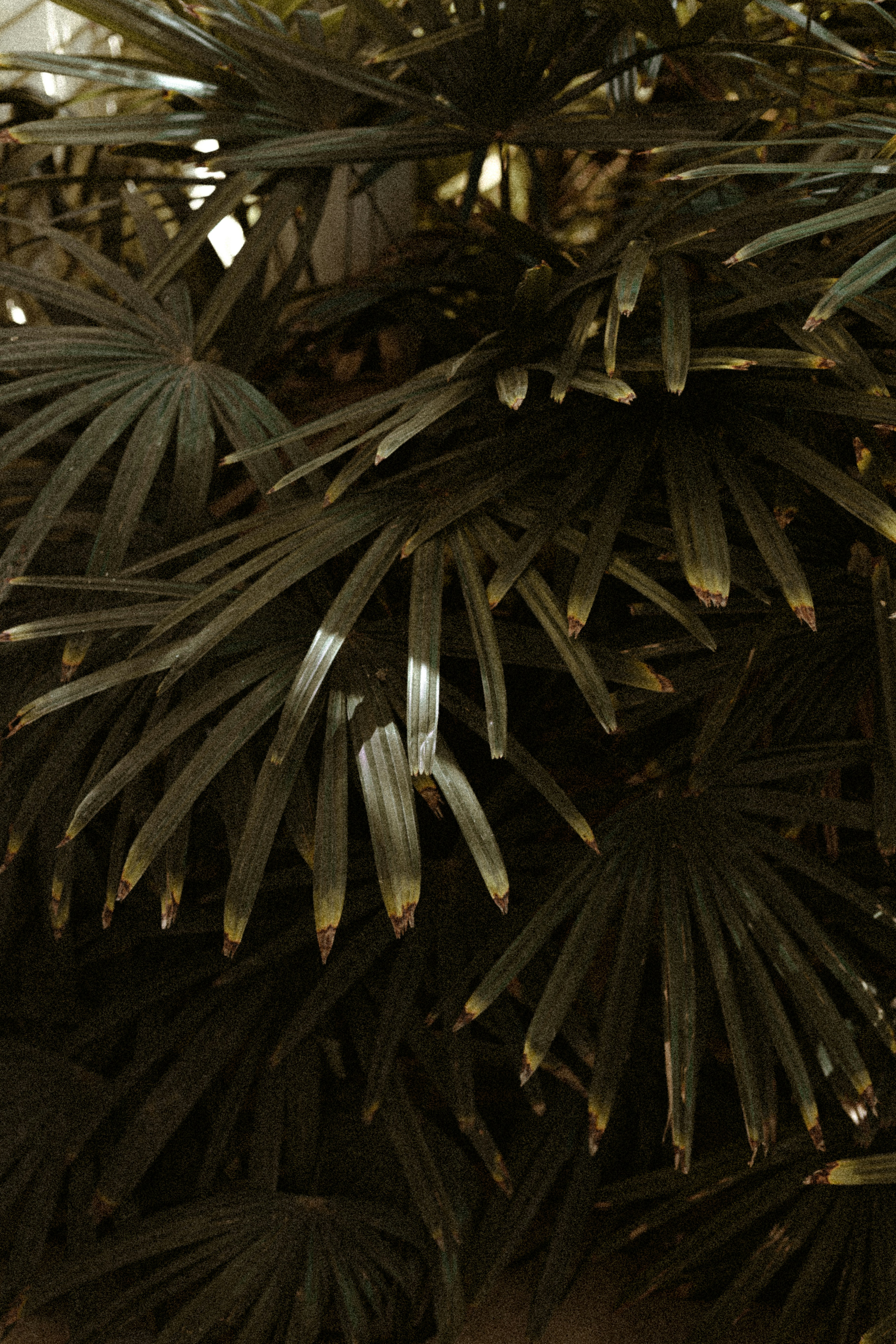 Photo by benignohoyuela