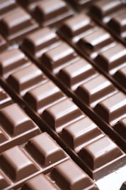 Los perros no deben comer chocolate- La teobromina es muy tóxica