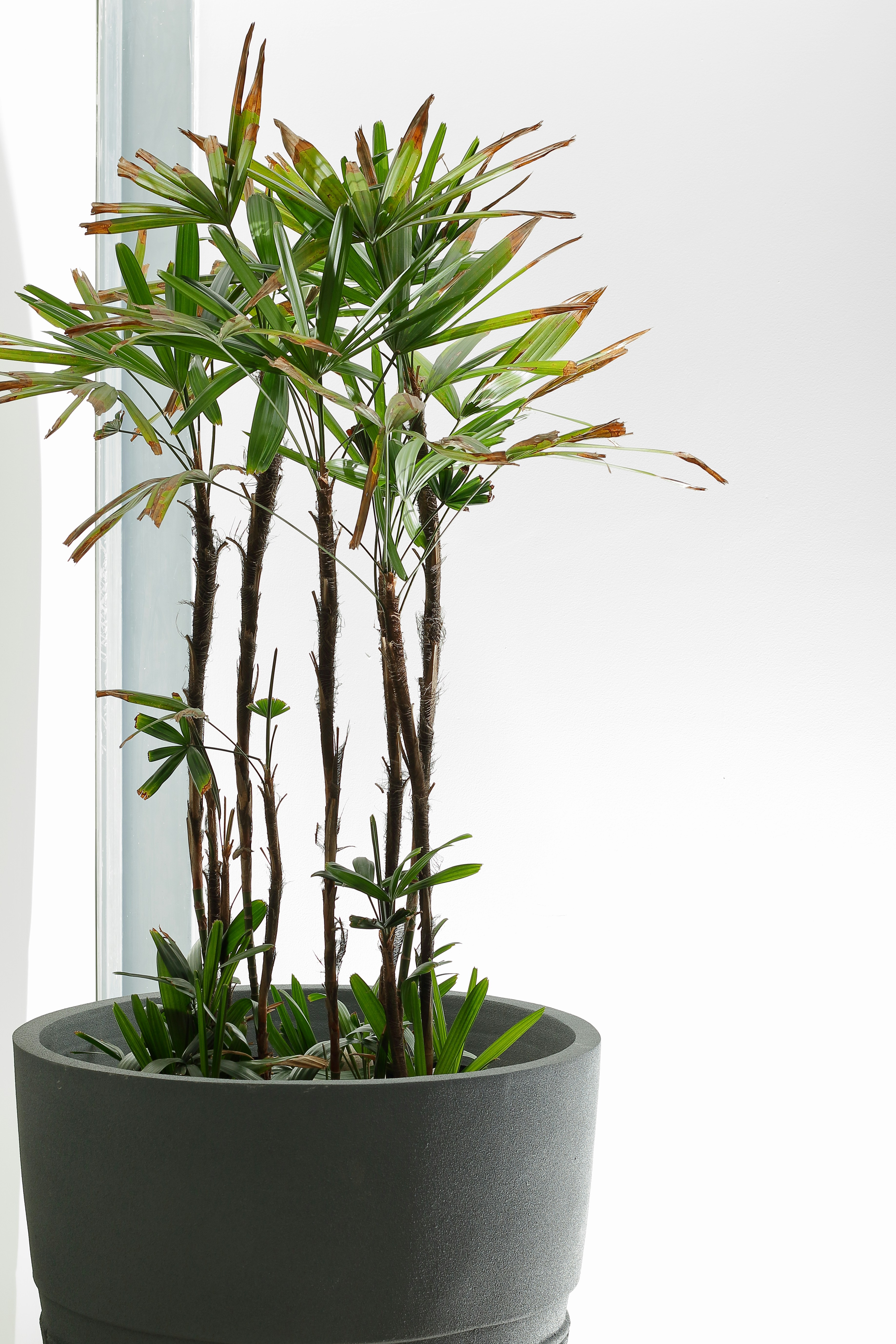 Photo by harpreetkaka