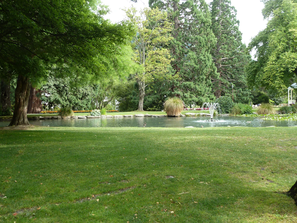 Park lawn and pond with shade trees