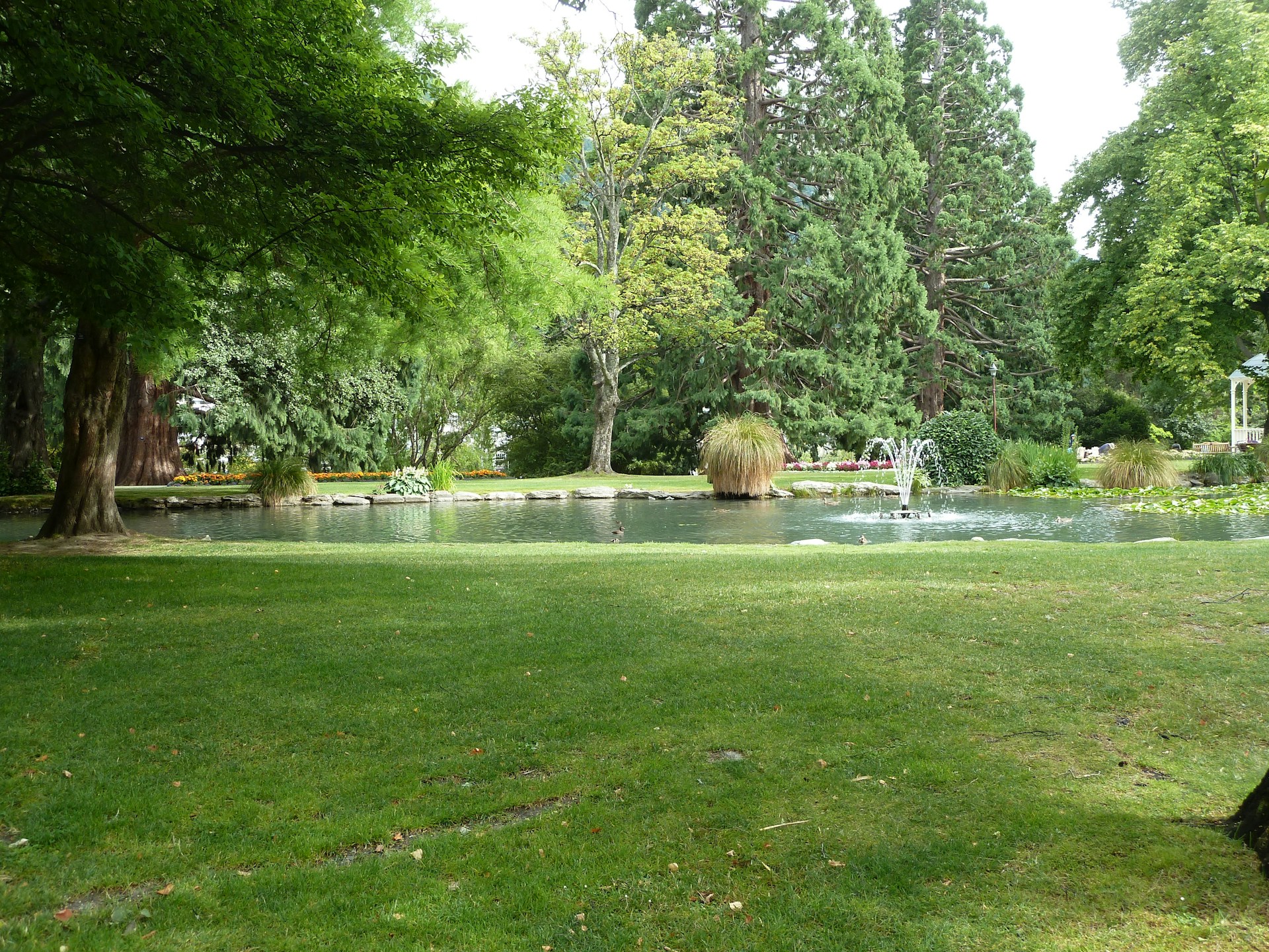 green grass field with trees and green grass field