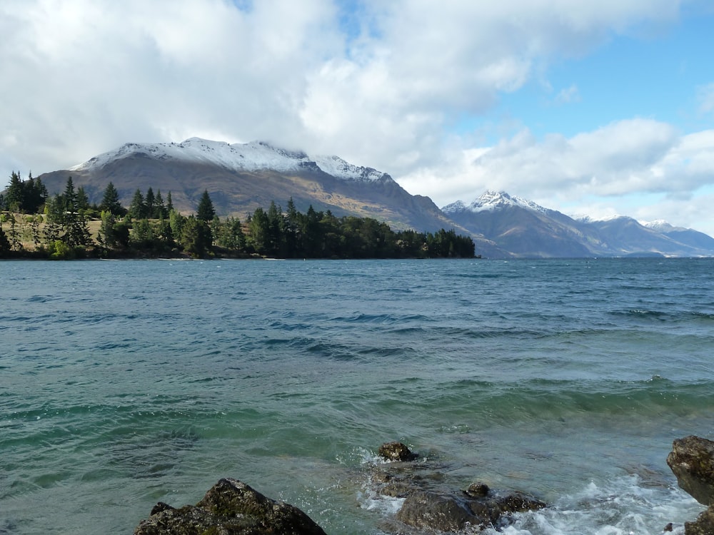 green trees near body of water during daytime