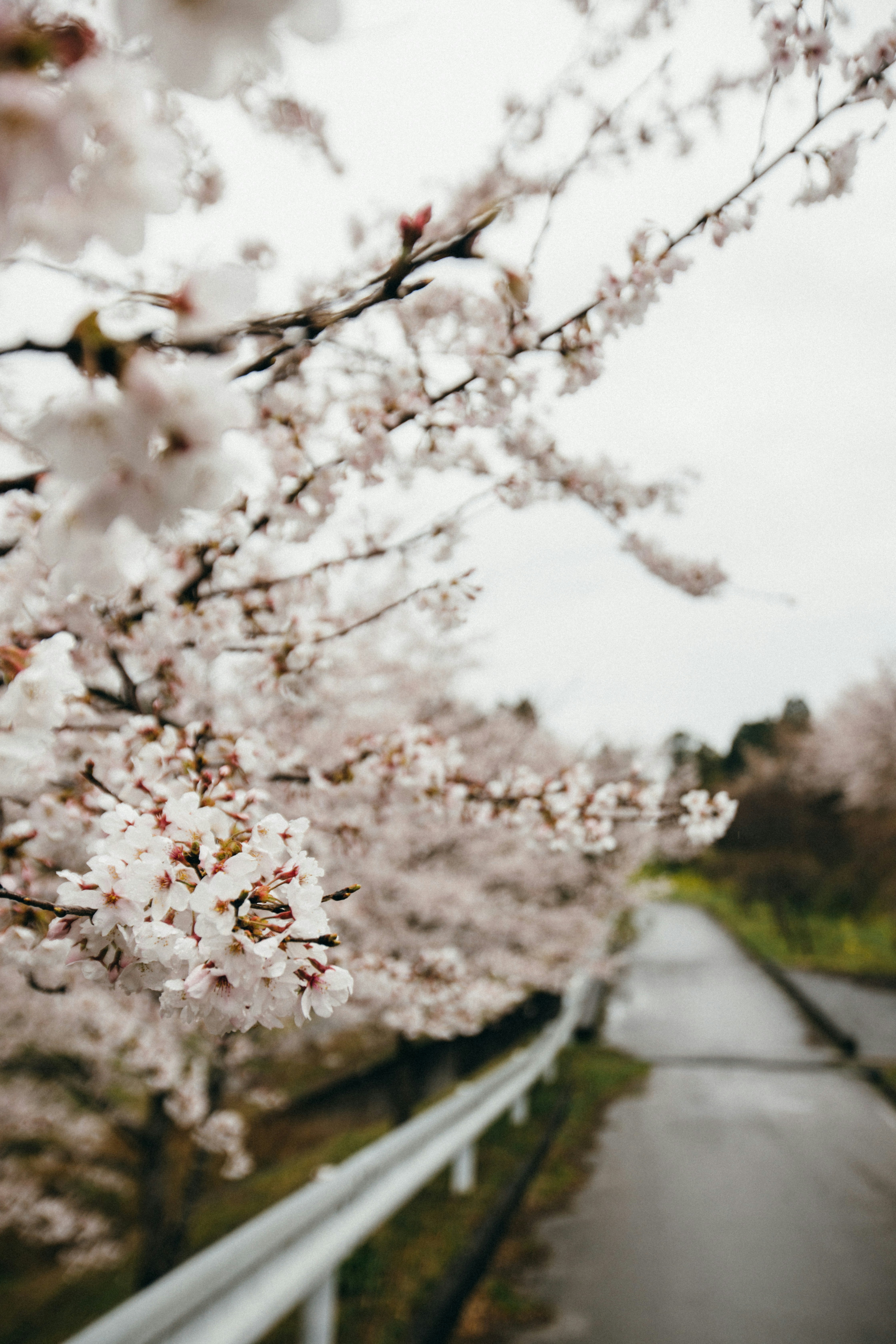 Photo by tsuyoshikozu