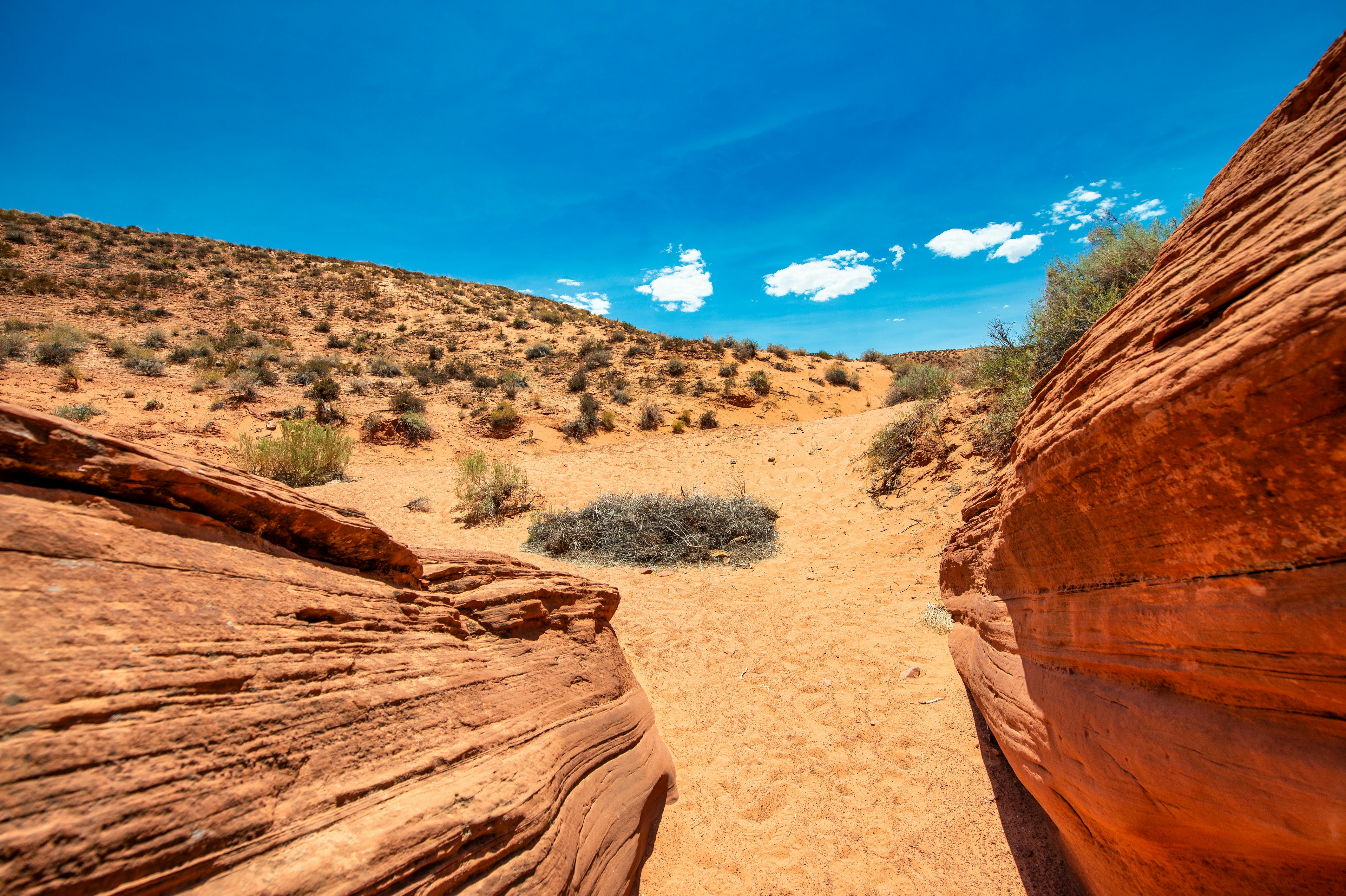 Photo by gagliardiphotography