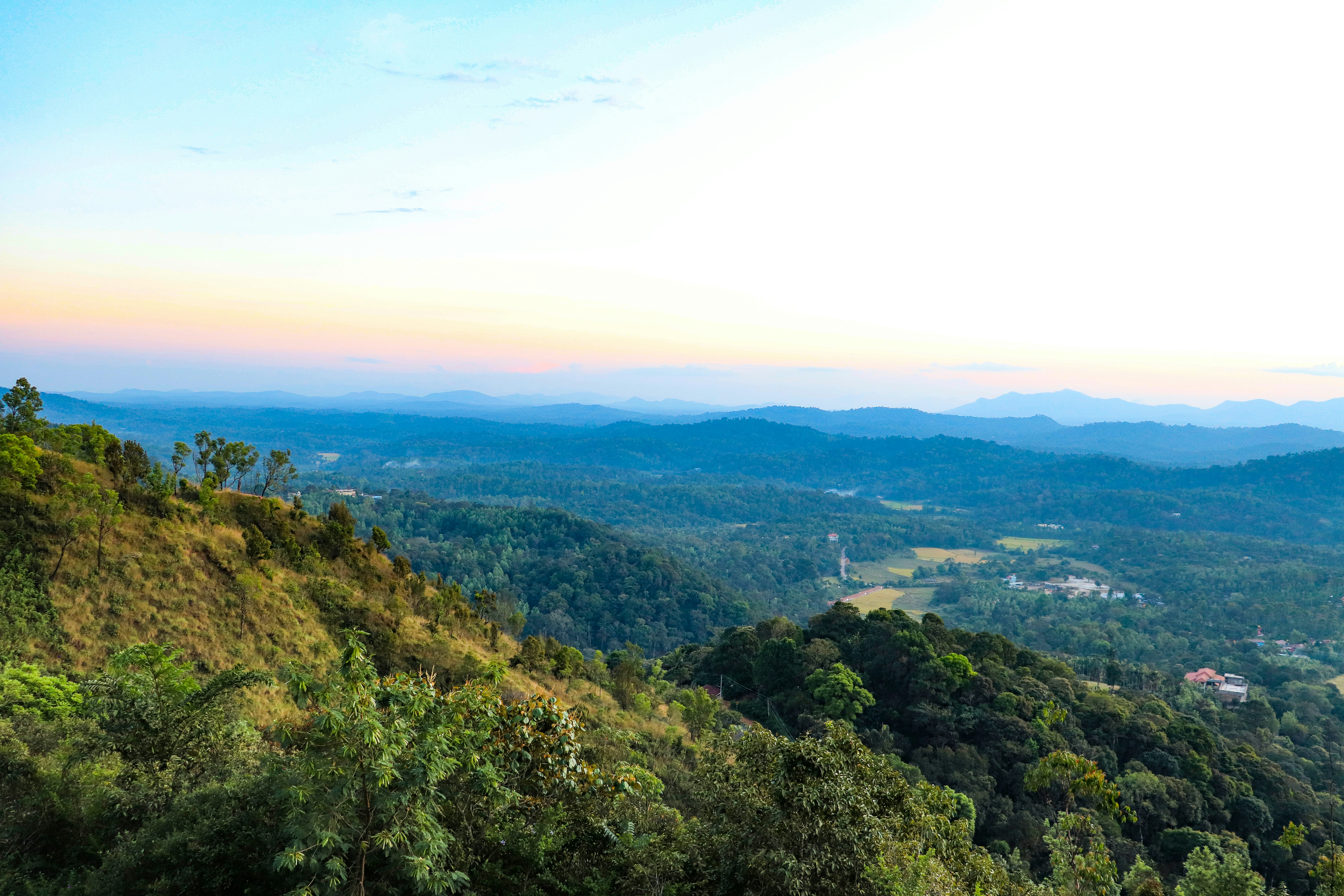 Photo by pavannaikfcds