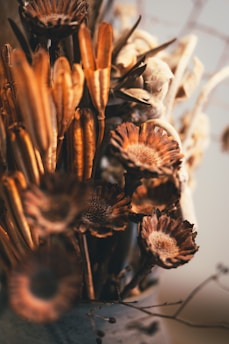 A close-up view of dried flowers showcasing intricate textures and patterns. The image features various shades of brown and beige, creating a warm and rustic aesthetic. The focus is on the detailed structure of the petals and stems.