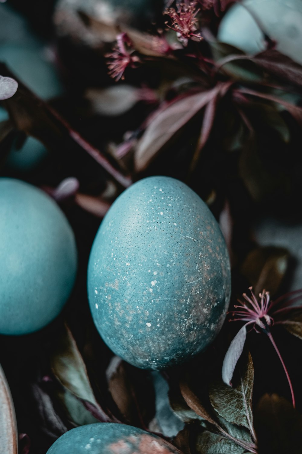 갈색 나무 표면에 파란 달걀