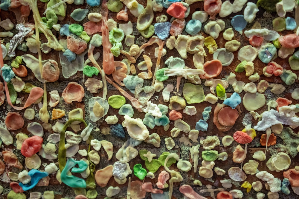 green and brown leaves on ground