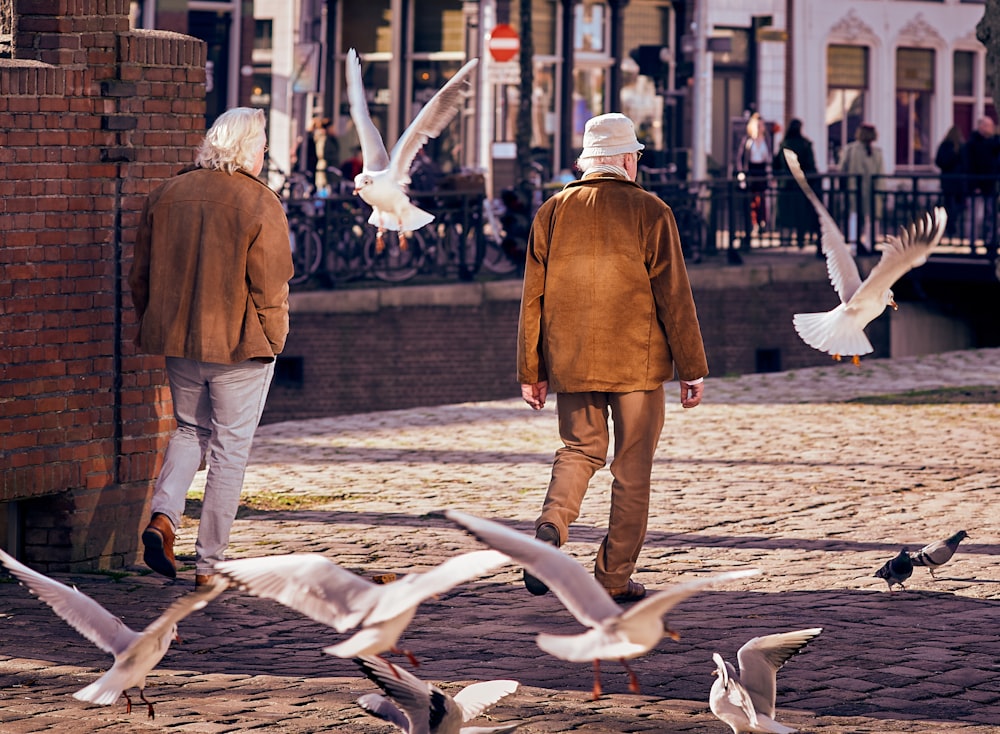 woman in brown coat and white pants walking on brown sand with white birds during daytime