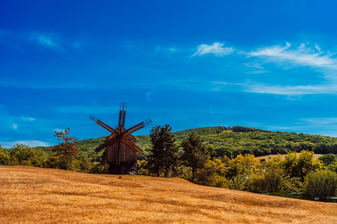 brown windmill on green grass field under blue sky during daytime