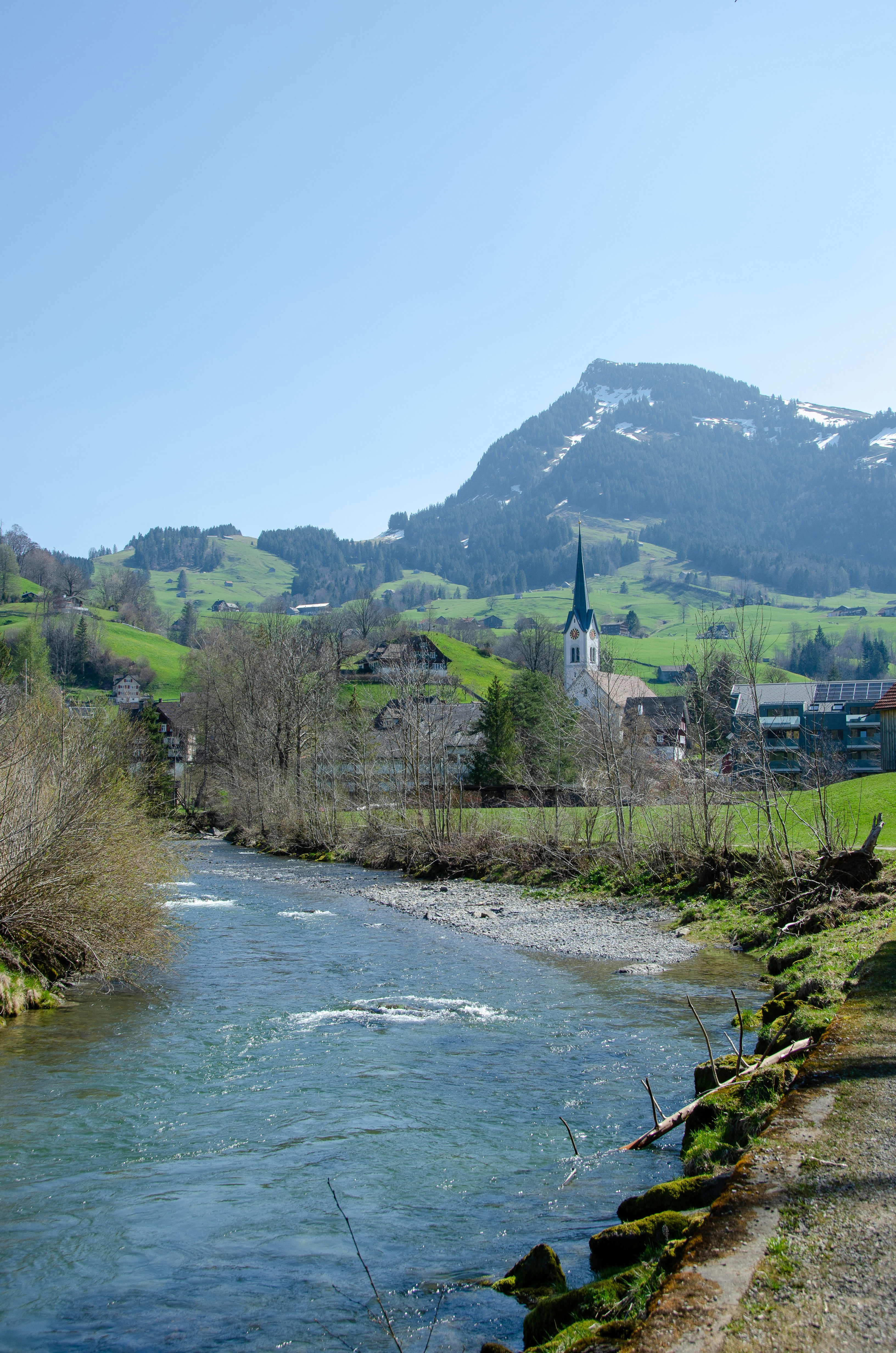 body of water between green trees and mountain during daytime