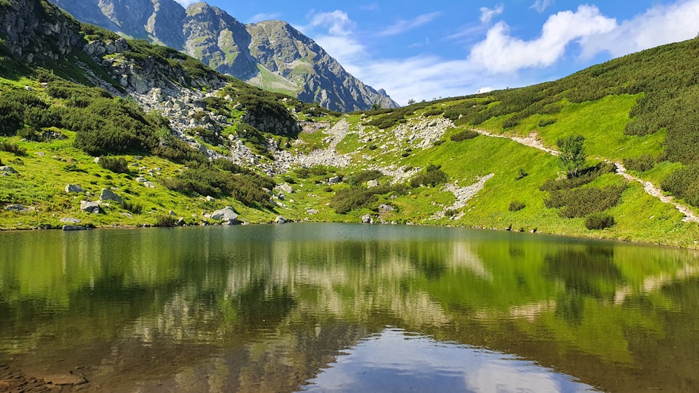 Grüne und weiße Berge am See tagsüber