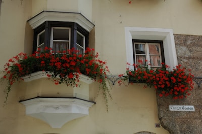 Facade renovation showing fresh red and white paint on a residential building in Hofheim am Taunus.