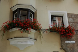 Photo 1619858996028 57a0f51f7f0b?q=85&w=273&h=462&fit=crop
