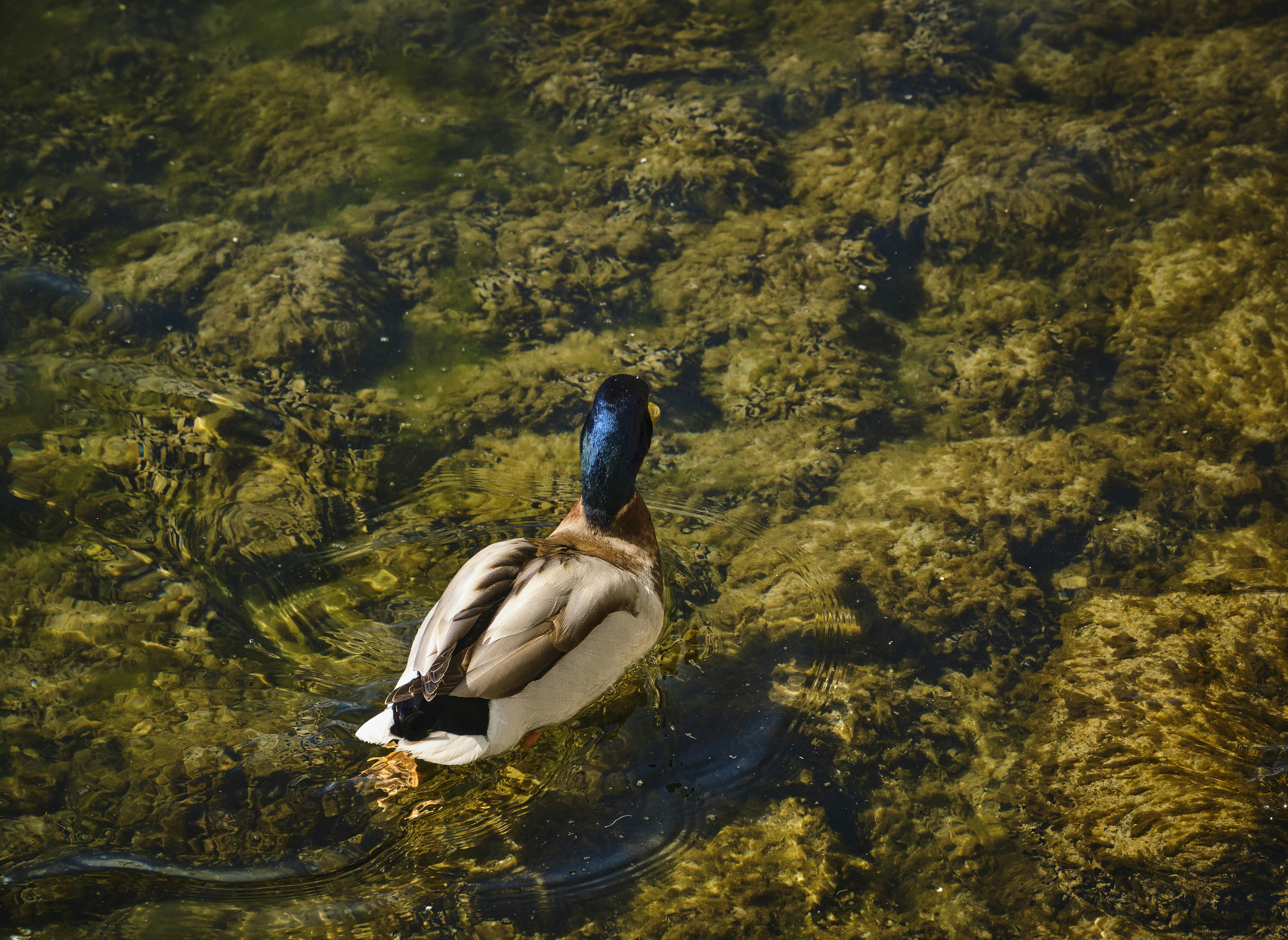 Photo by rolf_schmidbauer