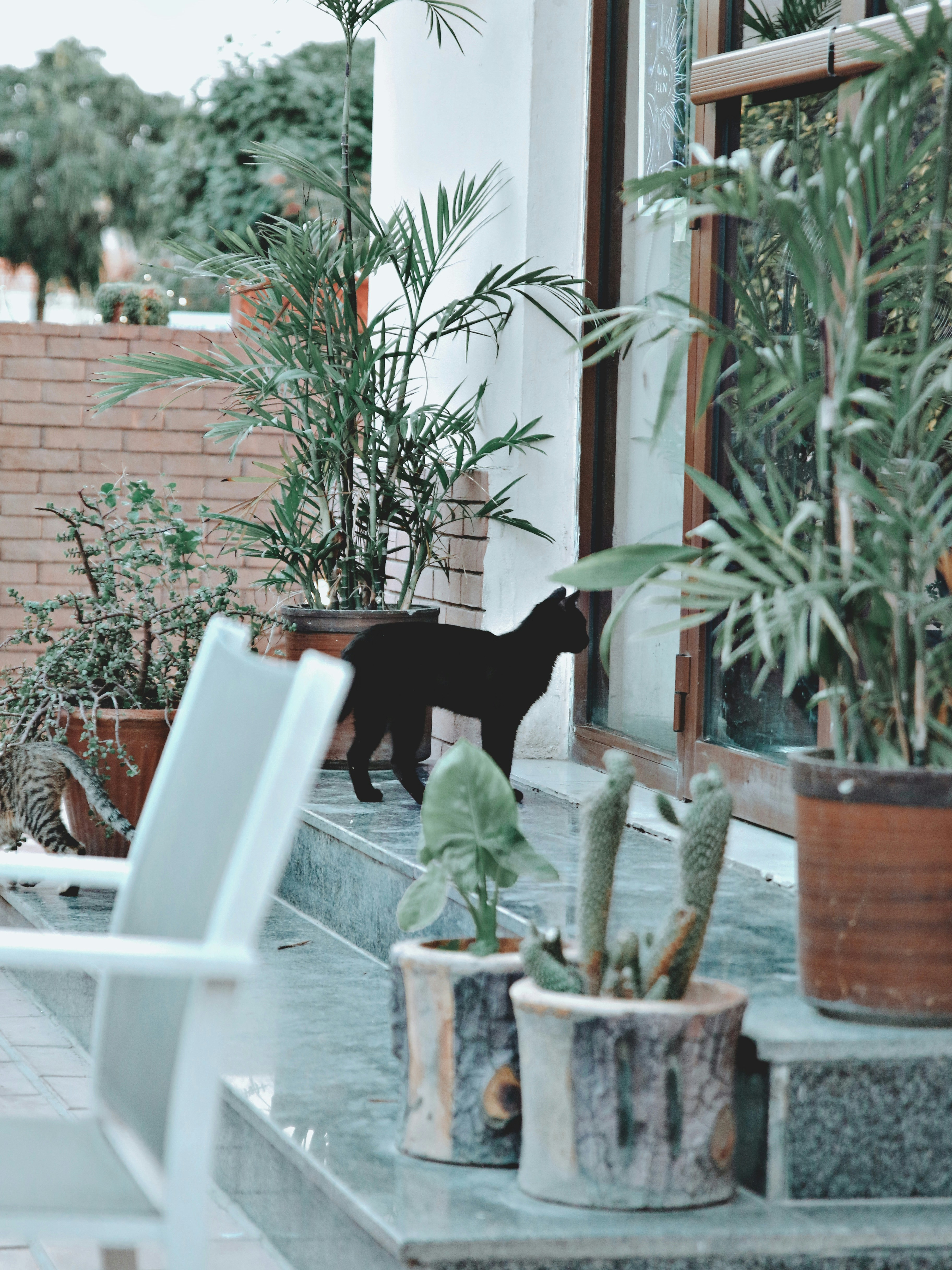 Photo by _zaynshabbir