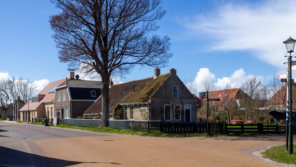 brown and gray concrete house near bare trees under blue sky during daytime