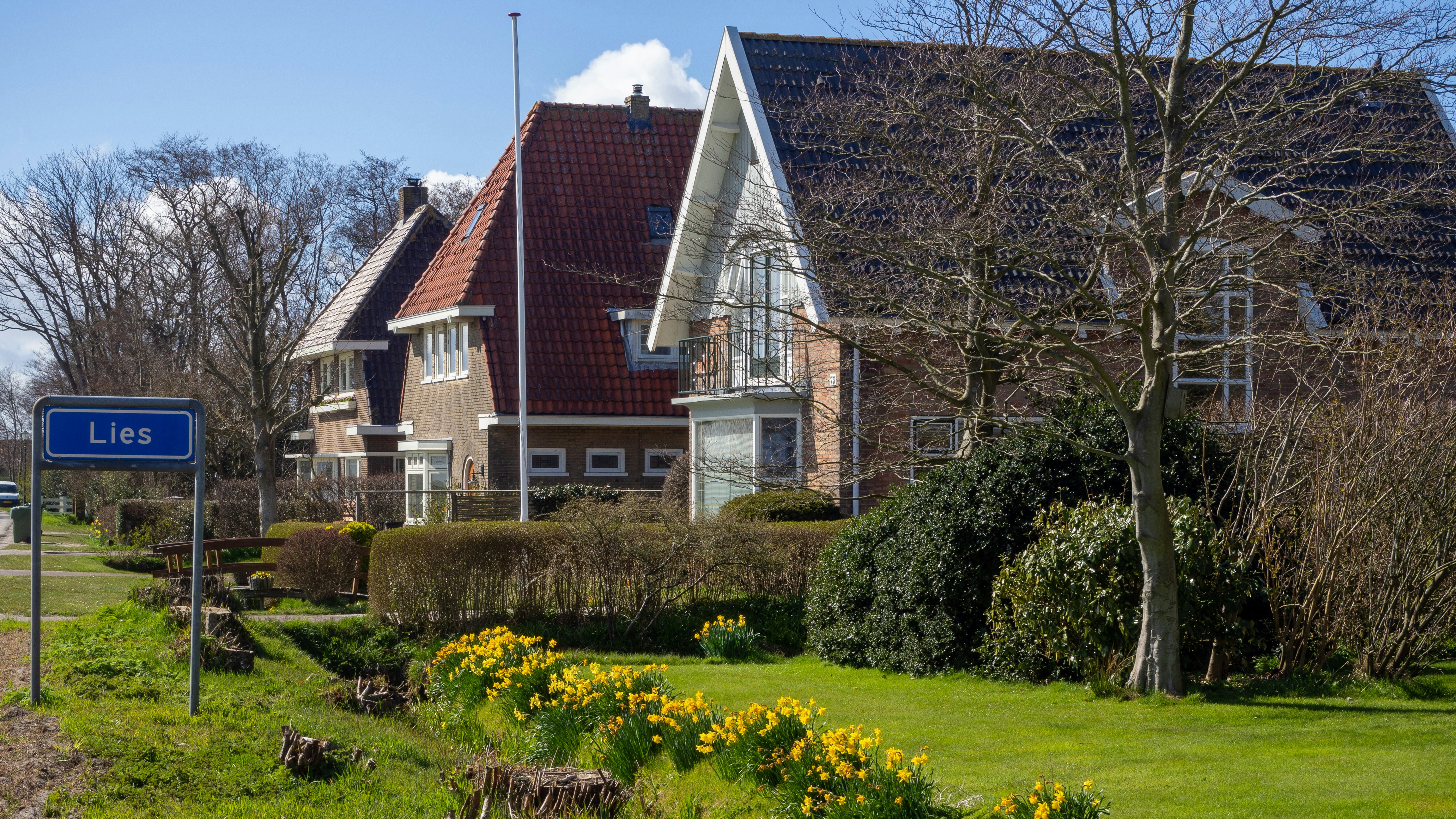 Photo by wimvanteinde