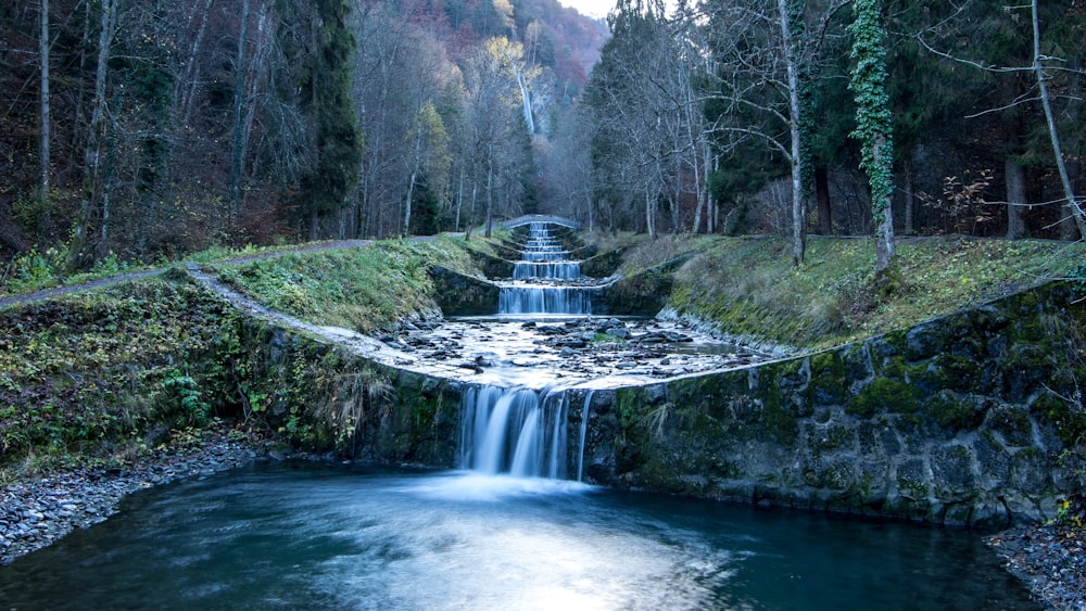 water falls in the middle of the forest