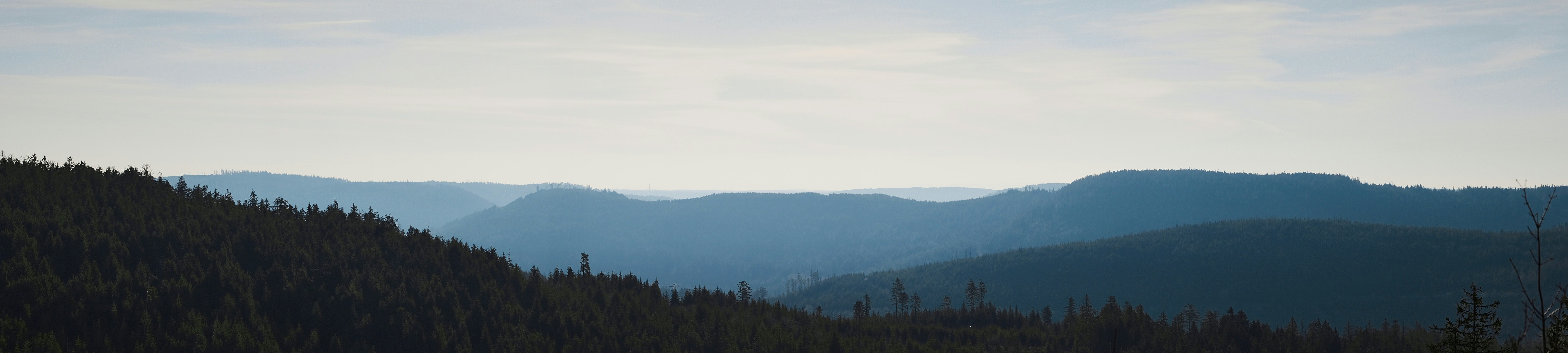 Photo by rolf_schmidbauer