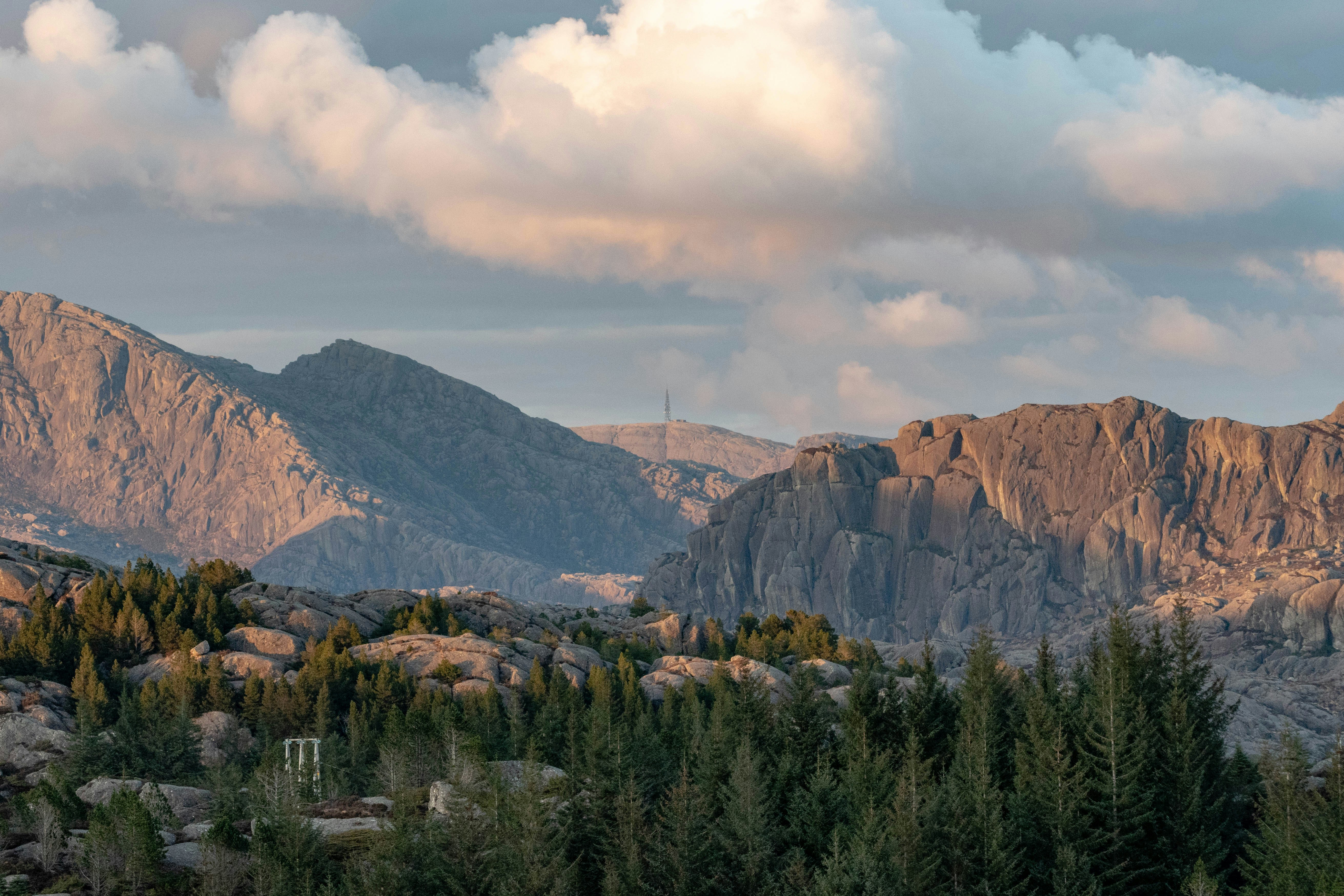 arbres verts près de la montagne sous ciel nuageux pendant la journée