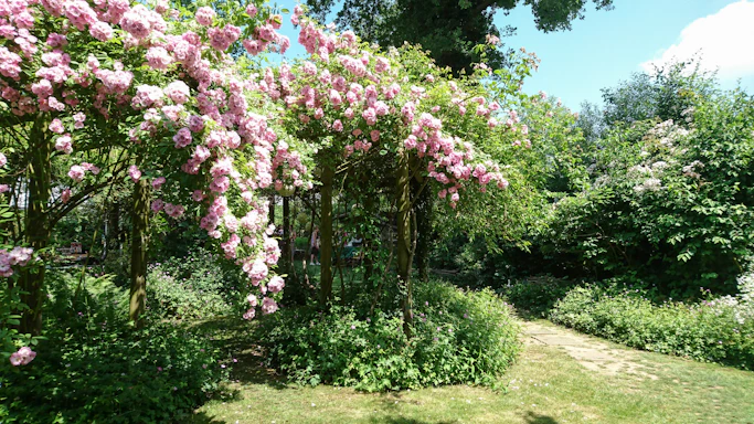 A welcoming garden entrance framed by blooming wildflowers and lush greenery under soft afternoon light.