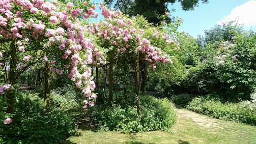 A bright, inviting photo of the meg farming garden entrance with lush avocado trees and a clear pathway.