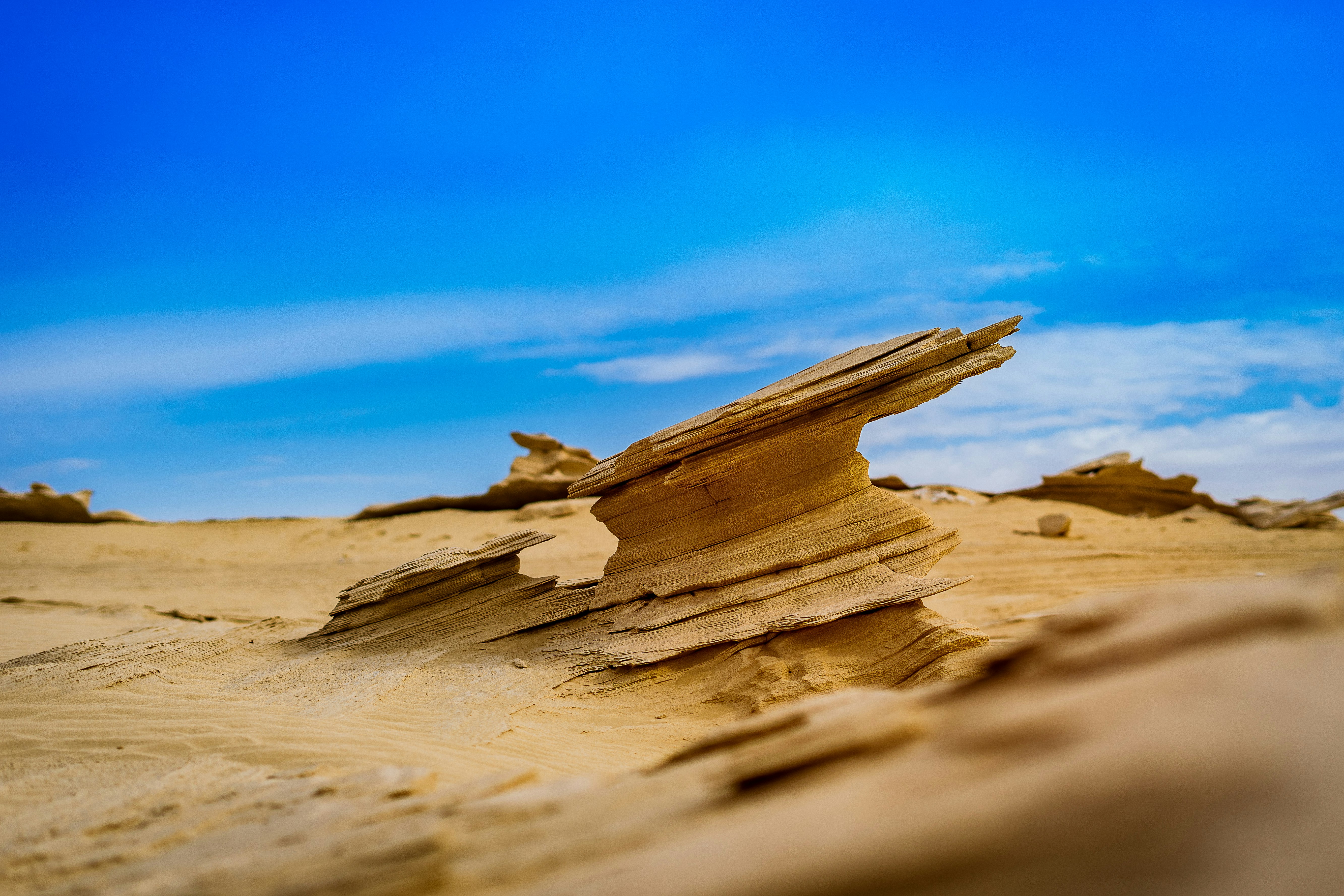 brown wood log on brown sand under blue sky during daytime