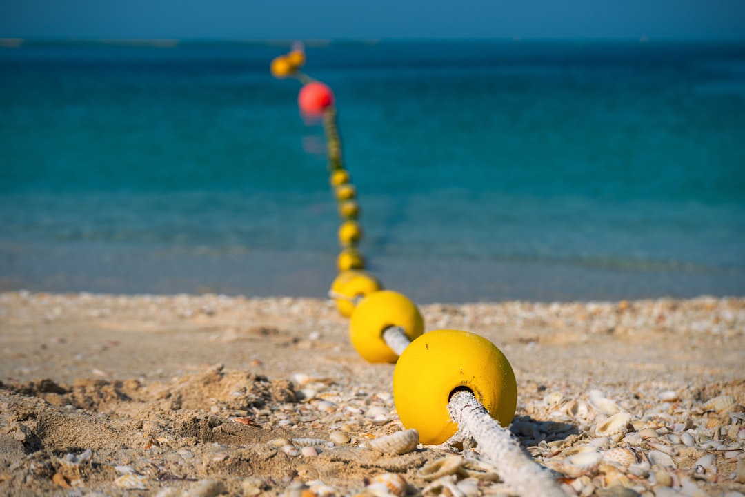 yellow and blue rope on beach shore during daytime
