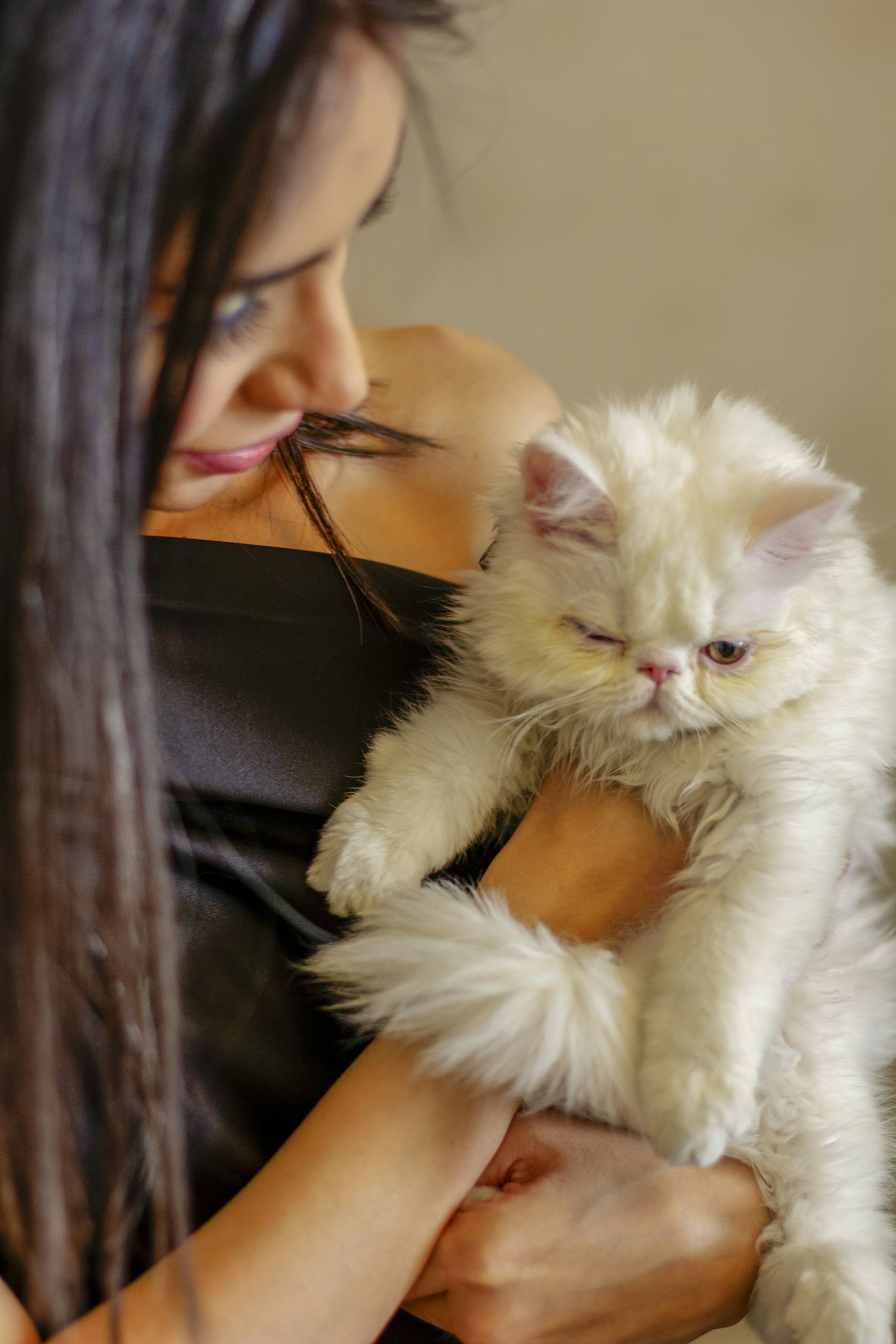 10 Kitten Behavior Training Tips Every First-Time Pet Parent Should Know