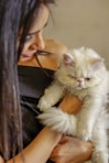 white cat on persons lap